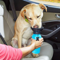 Dog Water Bottle