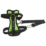 Car Dog Collar