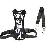 Car Dog Collar