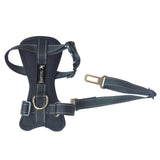 Car Dog Collar